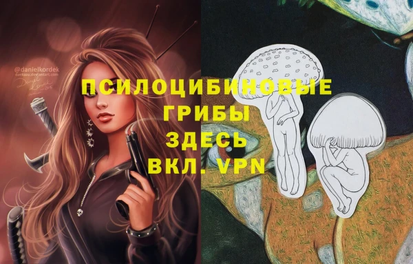 амф Сафоново