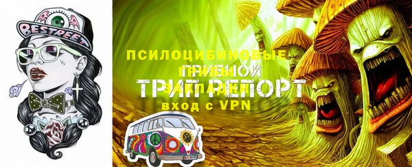 амф Сафоново
