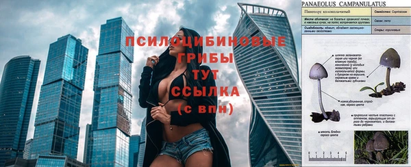 амф Сафоново