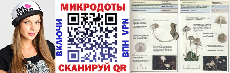 Галлюциногенные грибы мухоморы Белинский